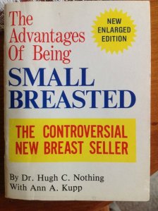 the-advantages-of-being-small-breasted-